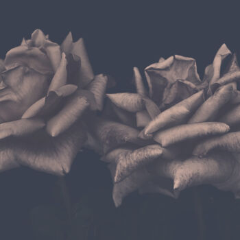 Photographie intitulée "Flowerissimo_17621" par Michael Vdovin, Œuvre d'art originale, Photographie numérique