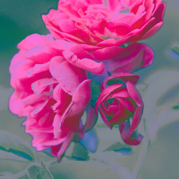 Photographie intitulée "Flowerissimo_19290" par Michael Vdovin, Œuvre d'art originale, Photographie numérique