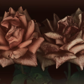 Photographie intitulée "Flowerissimo_17628" par Michael Vdovin, Œuvre d'art originale, Photographie numérique