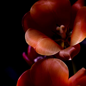 Fotografie getiteld "Flowerissimo_10168" door Michael Vdovin, Origineel Kunstwerk, Digitale fotografie