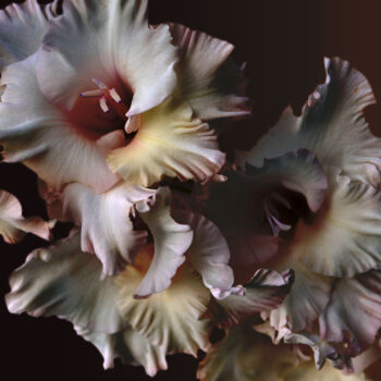 Photographie intitulée "Flowerissimo_18268" par Michael Vdovin, Œuvre d'art originale, Photographie numérique