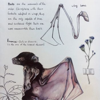 제목이 "Fruit bat"인 미술작품 Oksana Poluektova로, 원작, 수채화