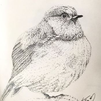 Dessin intitulée "Bird" par Venüs Ezgi Kurtoğlu, Œuvre d'art originale, Crayon