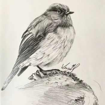 Drawing titled "Bird3" by Venüs Ezgi Kurtoğlu, Original Artwork, Charcoal