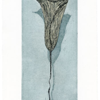 Estampas & grabados titulada "Shadows III, blue" por Vera Almeida, Obra de arte original, Aguafuerte