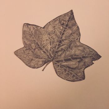 Drawing titled "Feuilles. Planche 1…" by Victoria, Original Artwork, Pencil