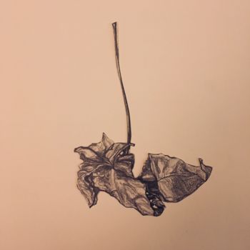 Drawing titled "Feuilles. Planche 3…" by Victoria, Original Artwork, Pencil