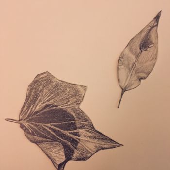 Drawing titled "Feuilles. Planche 5…" by Victoria, Original Artwork, Pencil