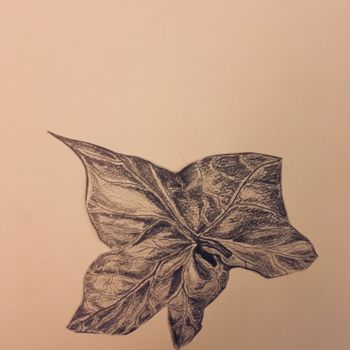 Drawing titled "Feuilles. Planche 7…" by Victoria, Original Artwork, Pencil