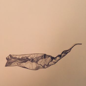 Drawing titled "Feuilles. Planche 8…" by Victoria, Original Artwork, Pencil