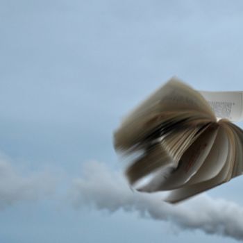 Photographie intitulée "Charmes et nuages" par Véronique Brill, Œuvre d'art originale, Photographie non manipulée