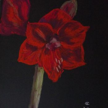 「Amaryllis」というタイトルの絵画 Véronique Crombéによって, オリジナルのアートワーク