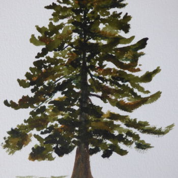 Schilderij getiteld "Study of a tree, Bo…" door Véronique Crombé, Origineel Kunstwerk, Aquarel