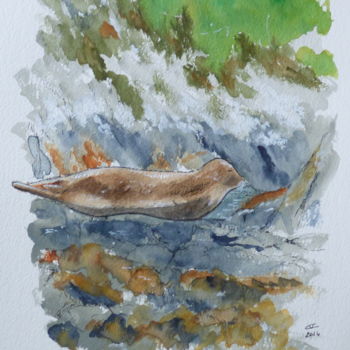 Painting titled "The seal is here !" by Véronique Crombé, Original Artwork, Watercolor