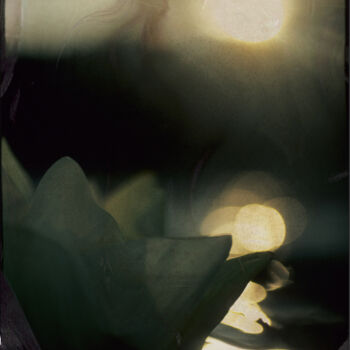 Photographie intitulée "Après le feu - L'or…" par Véronique Durruty, Œuvre d'art originale, Photographie argentique
