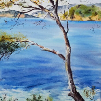 Painting titled "Pin au Rayol" by Véronique Le Forestier, Original Artwork, Watercolor