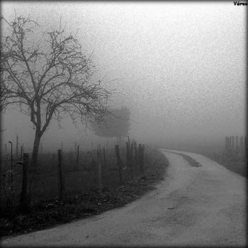 Photography titled "Dans le brouillard" by Veroo, Original Artwork