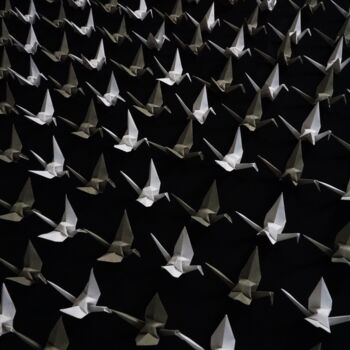 Fotografía titulada "Origami Extinction…" por Vethan Sautour, Obra de arte original, Fotografía digital Montado en Cartulina