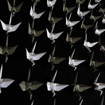 「Origami Extinction…」というタイトルの写真撮影 Vethan Sautourによって, オリジナルのアートワーク, デジタル ウッドパネルにマウント