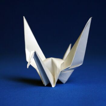 摄影 标题为“Origami Extinction…” 由Vethan Sautour, 原创艺术品, 数码摄影 安装在木板上