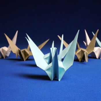 Фотография под названием "Origami Extinction…" - Vethan Sautour, Подлинное произведение искусства, Цифровая фотография Устан…