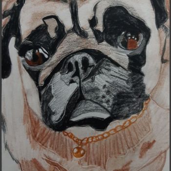 Drawing titled "Dog portraits" by Subhalakshmi Sureshkumar, Original Artwork, Pencil