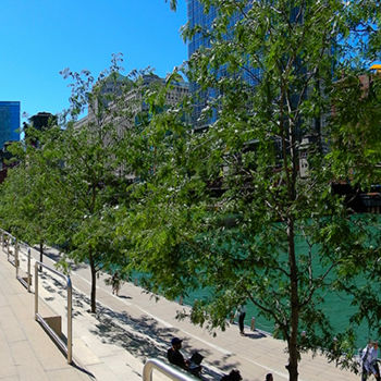 Photography titled "Riverwalk Panoramic…" by Ars Photo/Grafica, Original Artwork