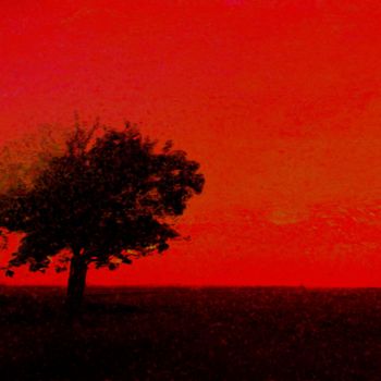 Digitale Kunst mit dem Titel "Tree in red" von Viajacobi, Original-Kunstwerk, Digitale Malerei