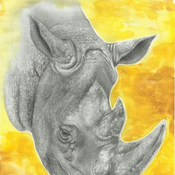 Drawing titled "Rhino.jpg" by Vicente Menezes, Original Artwork, Graphite