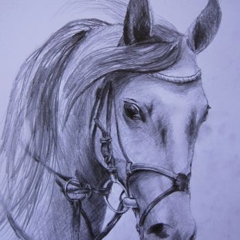 Drawing titled "Profile beloved hor…" by Painter Victor Peled, Original Artwork, Pencil