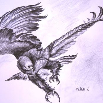 Disegno intitolato "Eagle flight  ( cop…" da Painter Victor Peled, Opera d'arte originale, Matita