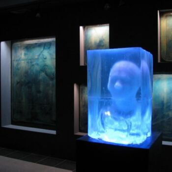 Instalación titulada "New Ark. 2009 #3" por Victor Sydorenko, Obra de arte original