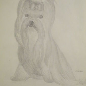 제목이 "Yorkshire Terrier"인 그림 Victoria Deaton로, 원작, 연필