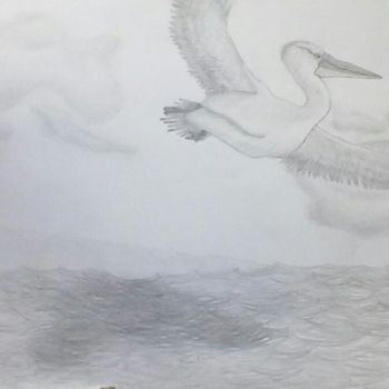 Drawing titled "Shadow of the Pelic…" by Victoria Deaton, Original Artwork, Pencil