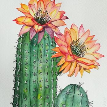 Painting titled "Cactus" by Victoria Girerd, Original Artwork, Watercolor