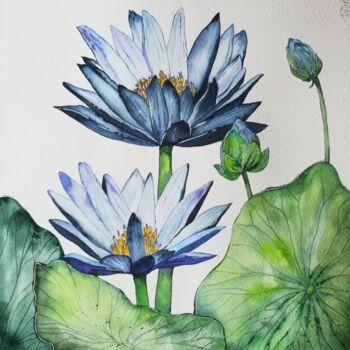 Pittura intitolato "Lotus bleu" da Victoria Girerd, Opera d'arte originale, Acquarello