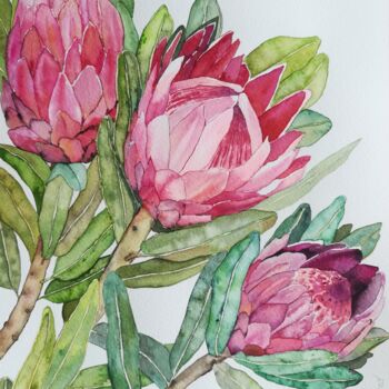 Schilderij getiteld "Protea" door Victoria Girerd, Origineel Kunstwerk, Aquarel