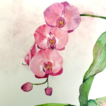 Painting titled "L’orchidée" by Victoria Girerd, Original Artwork, Watercolor