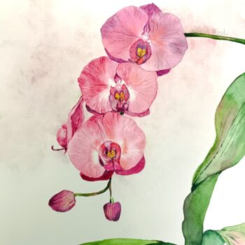 Schilderij getiteld "L’orchidée" door Victoria Girerd, Origineel Kunstwerk, Aquarel