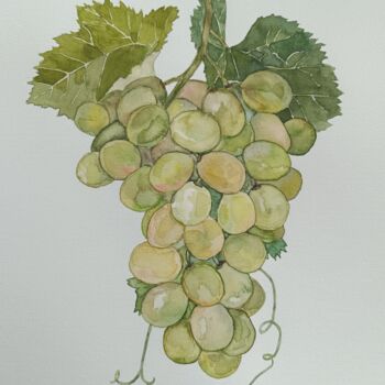 Painting titled "Le Raisin blanc" by Victoria Girerd, Original Artwork, Watercolor