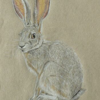 Drawing titled "Hase" by Victoria Richters, Original Artwork, Conté