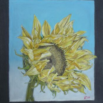 Drawing titled "Sonnenblume" by Victoria Richters, Original Artwork, Pastel