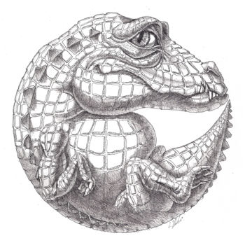 Dessin intitulée "Crocodile" par Victor Molev, Œuvre d'art originale, Autre