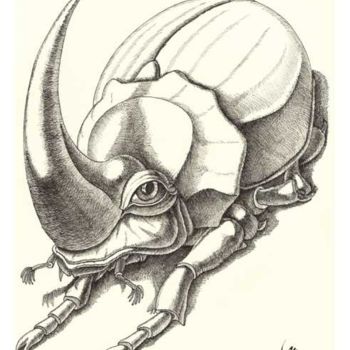 Rysunek zatytułowany „Oryctes Nasicornis” autorstwa Victor Molev, Oryginalna praca, Inny