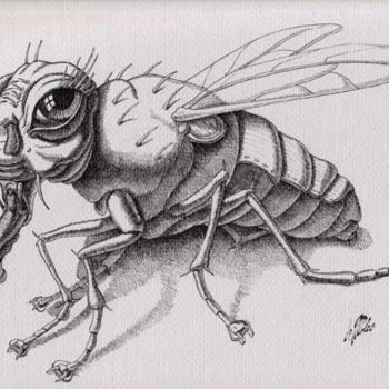 Drawing titled "The Fly" by Victor Molev, Original Artwork, Other