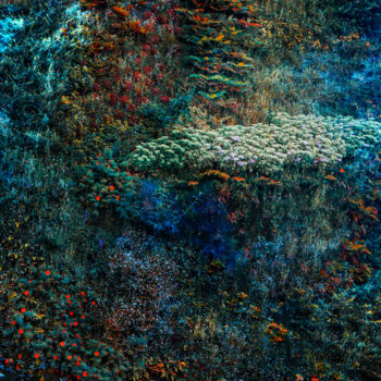 Photography titled "Wall of Nature V" by Viet Ha Tran, Original Artwork, Manipulated Photography