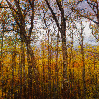 Photographie intitulée "Colors of autumn" par Viet Ha Tran, Œuvre d'art originale, Photographie numérique
