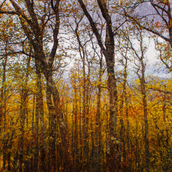 Fotografia intitolato "Colors of autumn" da Viet Ha Tran, Opera d'arte originale, Fotografia digitale