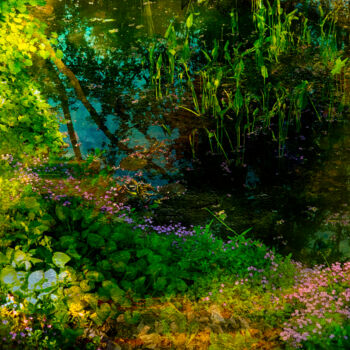 Fotografie mit dem Titel "Monet Garden" von Viet Ha Tran, Original-Kunstwerk, Manipulierte Fotografie