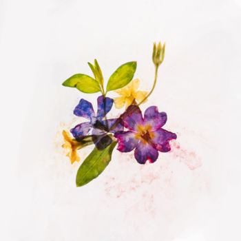 Photography titled "Watercolour 6" by Vijay Sebastian, Original Artwork, Digital Photography